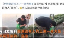 最新偷鱼爆料新闻事件是真的吗,真相还是谣言？