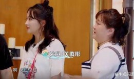 娱乐吃瓜酱监狱,揭秘娱乐圈背后的惊人真相